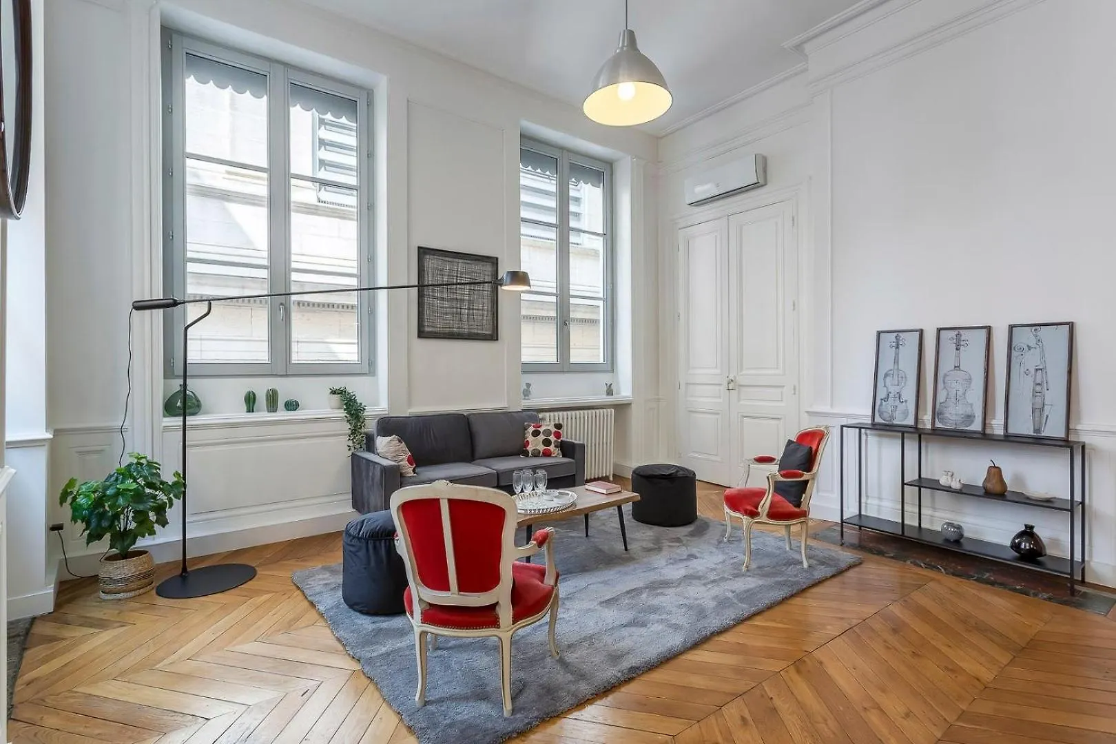 Apartment Charlie-Meublee Haut De Gamme-Duplex-260M2-Lyon 1