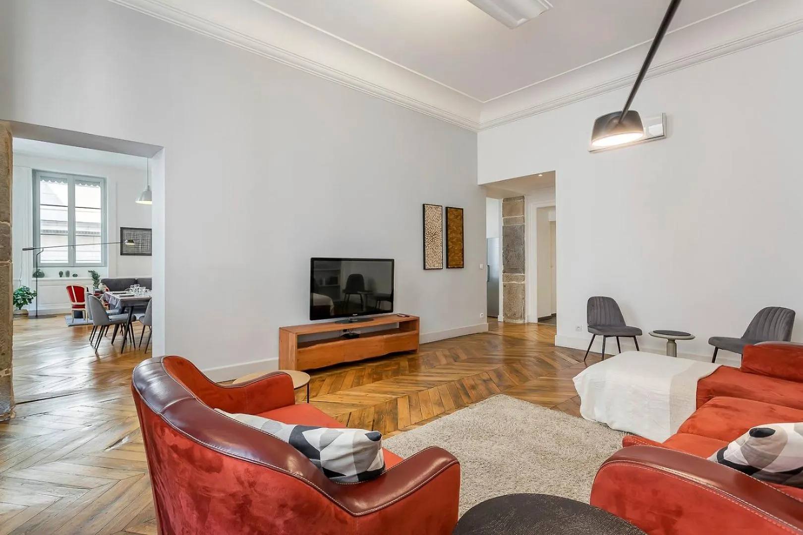 Charlie-Meublee Haut De Gamme-Duplex-260M2-Lyon 1 Lyon