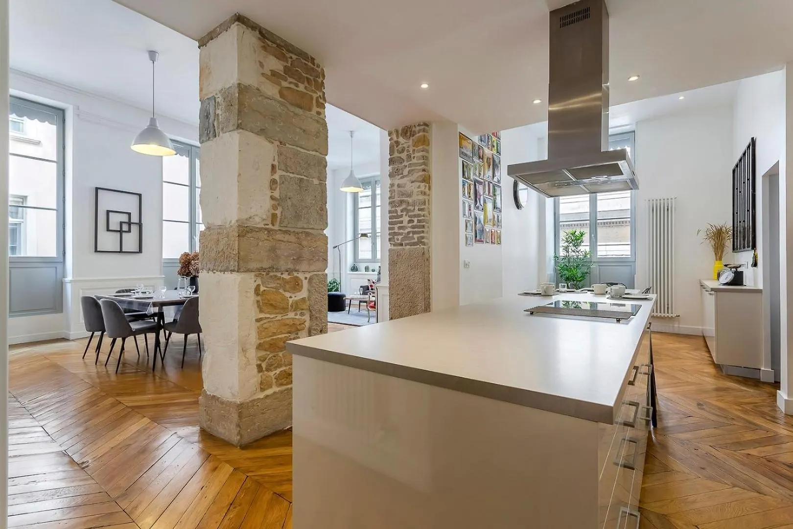 Apartment Charlie-Meublee Haut De Gamme-Duplex-260M2-Lyon 1