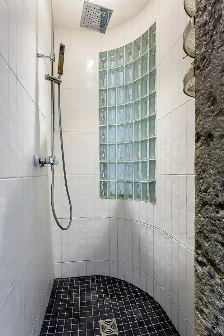Charlie-Meublee Haut De Gamme-Duplex-260M2-Lyon 1 France